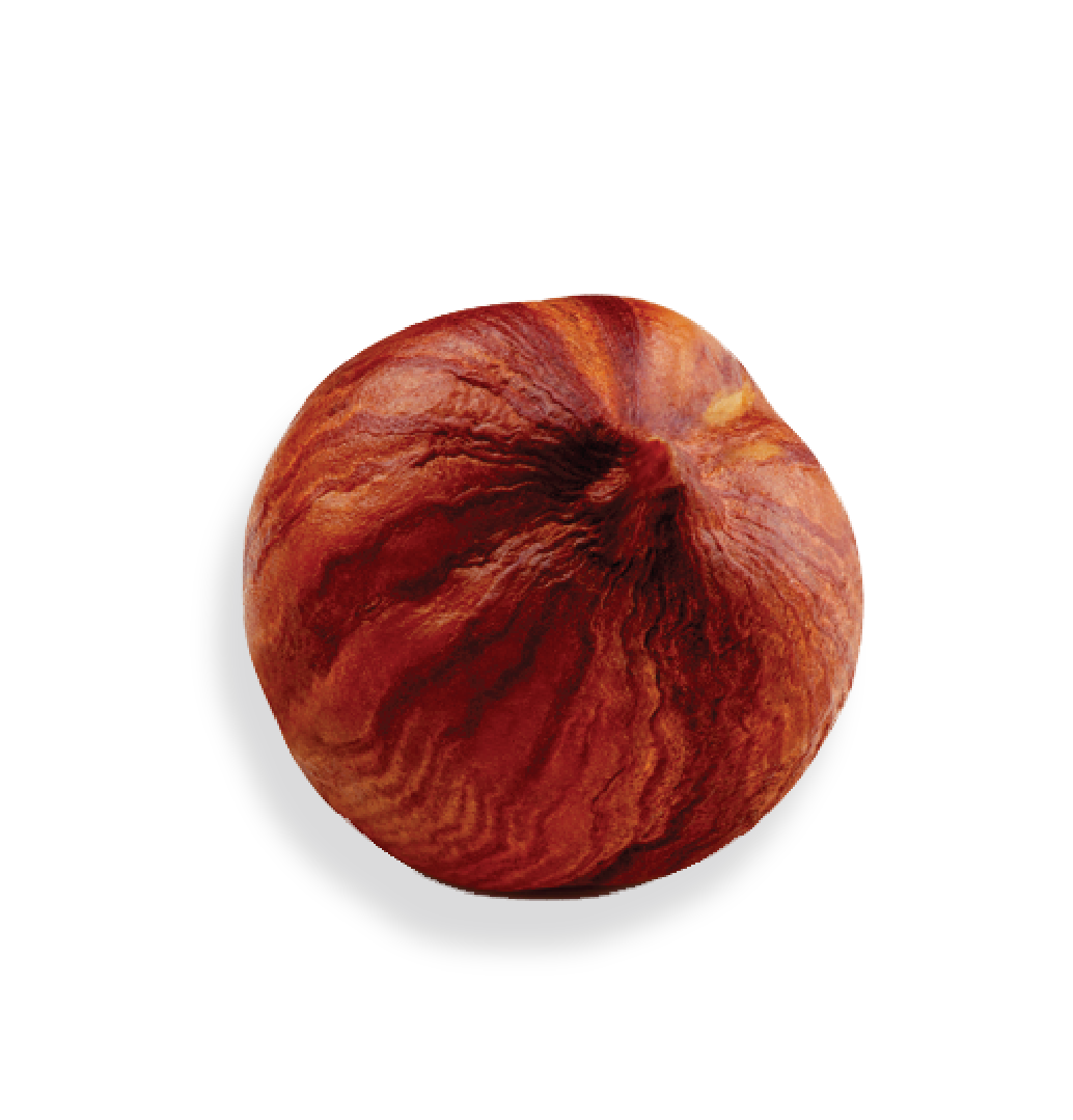 H1-01.png