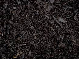 Premium Topsoil