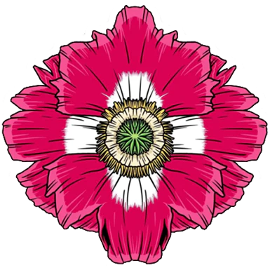 Afgan Poppy.webp