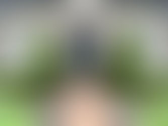 Homebuilders Are Choosing Tuscan Iron Doors -- Here's Why