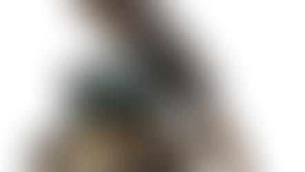 A Change to My April Schedule: Colonial Handwriting Talk Moves to September