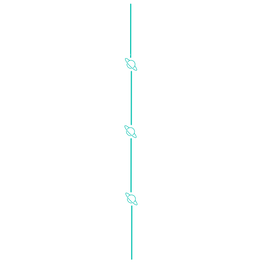 Copy of Untitled (9).png