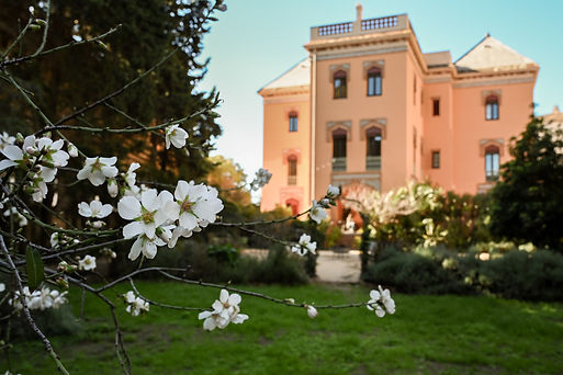 42_Happy Working Lab_Cowork Photos_10-02-26.JPG.jpg