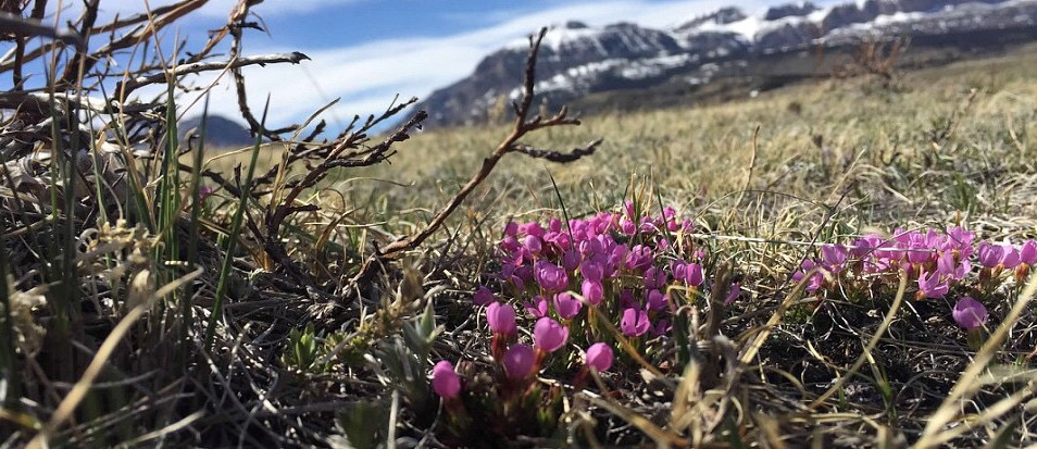 Arrow S Ranch in Montana. Vacation Rental.