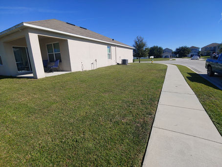 "Professional lawn care and clean concrete walkway on a residential property in Polk County, Florida, maintained by Rasta Lawn Care.