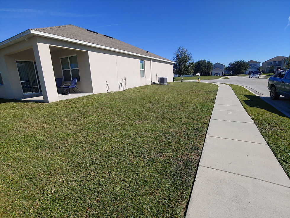 Professional lawn care and clean concrete sidewalk on a residential property in Polk County, Florida.