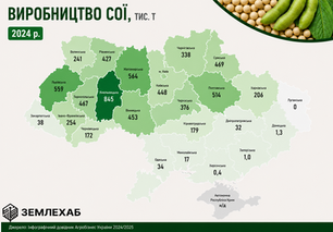 Українська соя підкорює Європу: світовий ринок, врожайність та перспективи