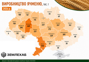 Культура перших грошей: як влаштований ринок ячменю та що виграє український аграрій