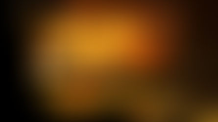 Episode 33 – Braid