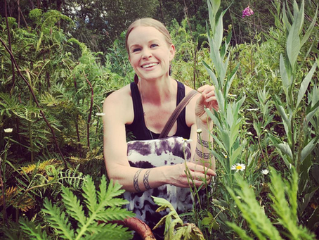 My favorite mugwort harvest spot.