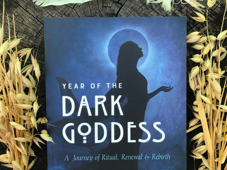 Year of the Dark Goddess book cover with owl feathers and oats.