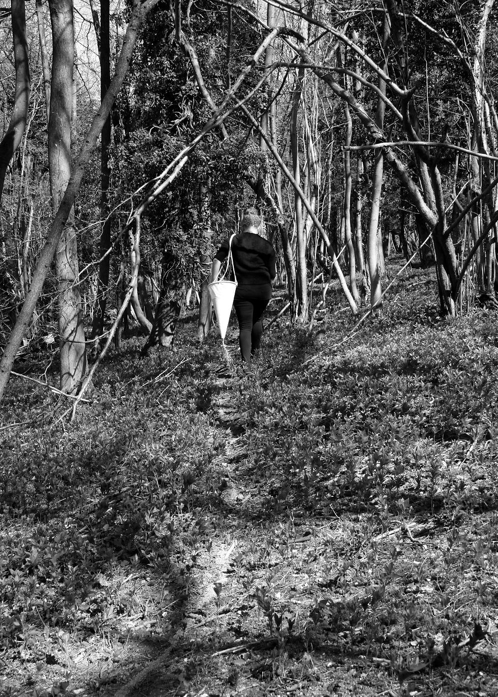Walking with Seed