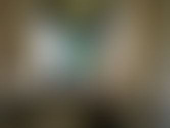 Gaudy Project 5 Crack Wakphi