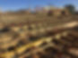 2809 roof 3.JPG