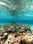 Tropical Holiday Getaway 5.webp