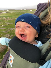 wind battered.jpeg