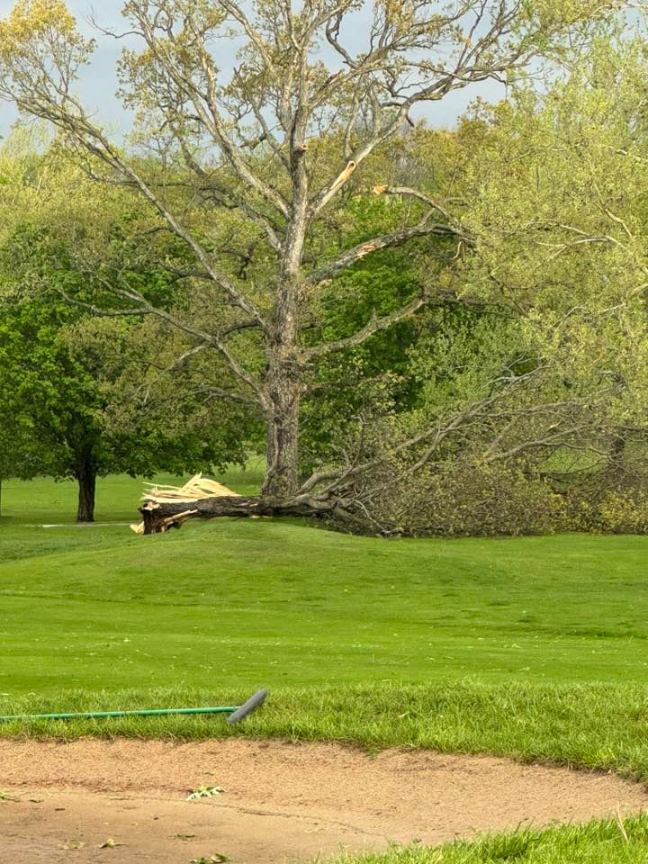 Storms Monday night downed tree limbs around Mahomet, including at Lake of the Woods Golf Course.