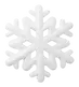 snowflake.webp