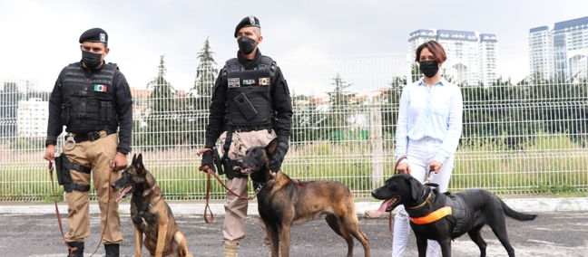 CUENTA HUIXQUILUCAN CON UNA EXCELENTE UNIDAD CANINA DE BÚSQUEDA Y RESCATE