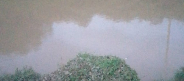 URGE ACTUACIÓN DE AUTORIDADES FEDERALES Y ESTATALES ANTE POSIBLE DESBORDAMIENTO
DEL RÍO CUAUTITLÁN