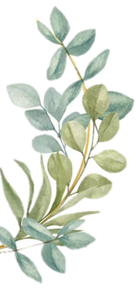 plantas logo_edited.png
