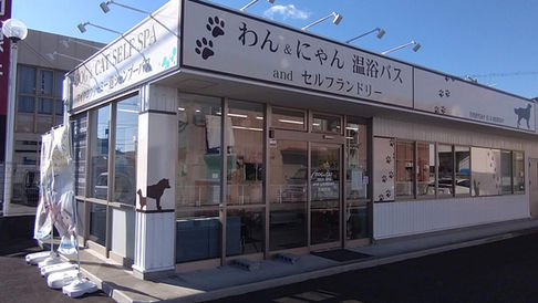DSC-1750.JPG