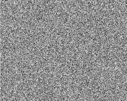 tv지지직(움짤).gif