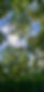 Tine_de_conflens.jpg