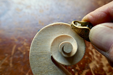 Sculpture de la volute 