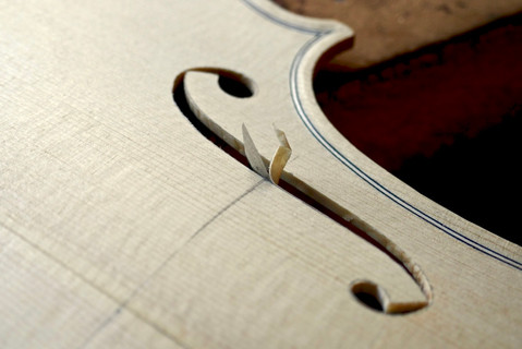 Taille des ouïes