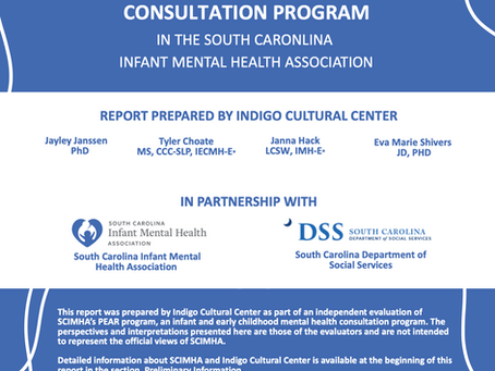 Evaluating the Infant and Early Childhood Mental Health Consultation Program in the South Carolina Infant Mental Health Association