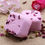 Miniature : Galet de douche Aromathérapie Douche Torride