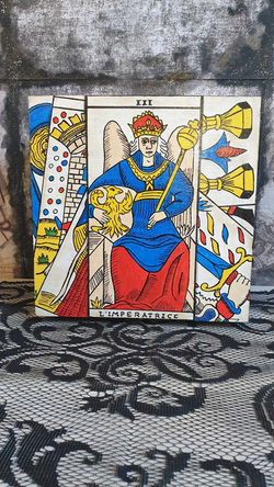 368069696_2248900905315910_8549773164159159425_n