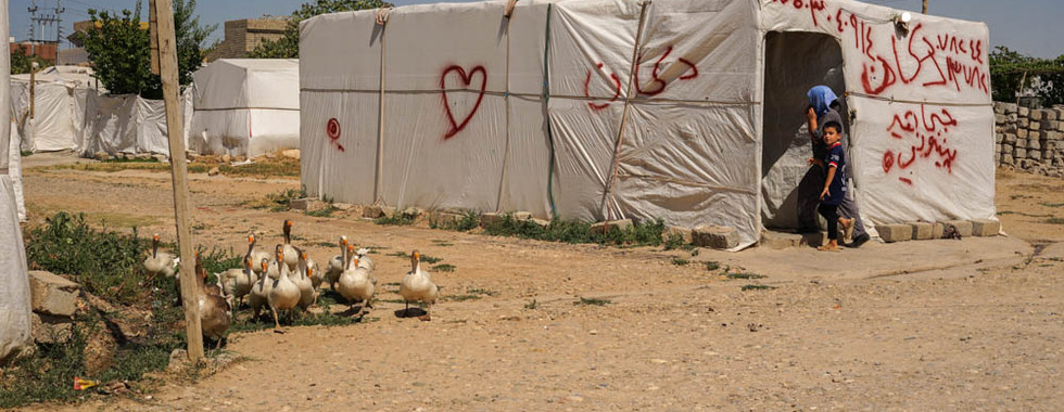 Une scène du quotidien presque banale, des oies se baladent dans le camp tandis qu’une mère et son fils rentrent « chez eux ».