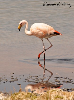 amor a la naturaleza