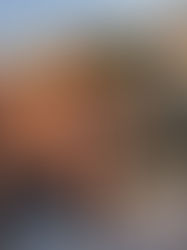 Ingeniera Ambiental Leticia: Naturaleza, Música y Otras Pasiones 