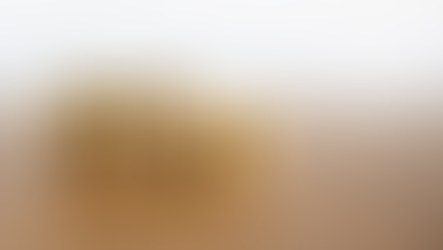 Mythbusters Part 2 with Tom Dheere