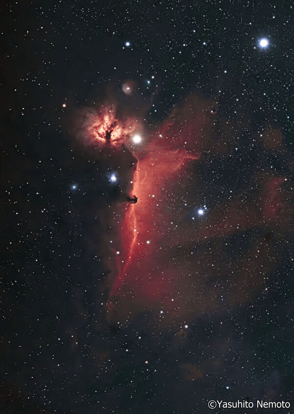 サムネイル： サイトロン　Quad BPフィルターII 52mm【お取り寄せ】