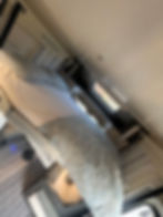 foto 13-03-2023 18 14 01