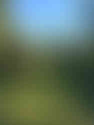 Beautiful Farm Trail from Campsite