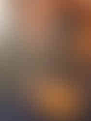 Rescuing Kitten in Cuba