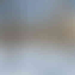 Sugar bush with footprints in snow.