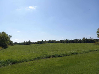 Beautiful Farm Hayfield