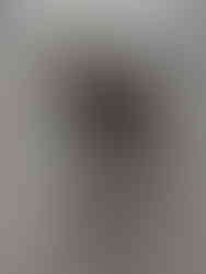 Towel Dog and the forgotten sunglasses 1