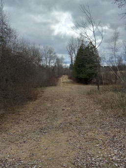 Trail to from the campsite