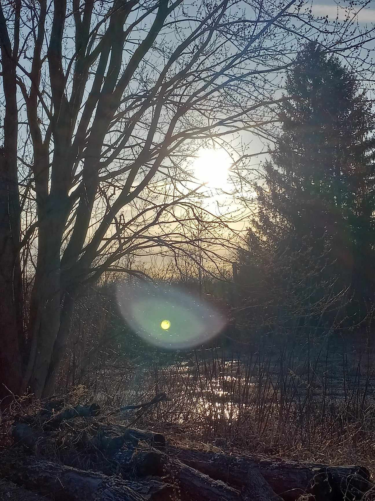 Cool sunset over swamp