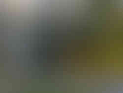 Beautiful View from Where I am Writing