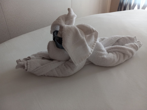 Towel Dog and the forgotten sunglasses 2