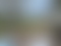 Top right corner of photo is where my elliptical is.