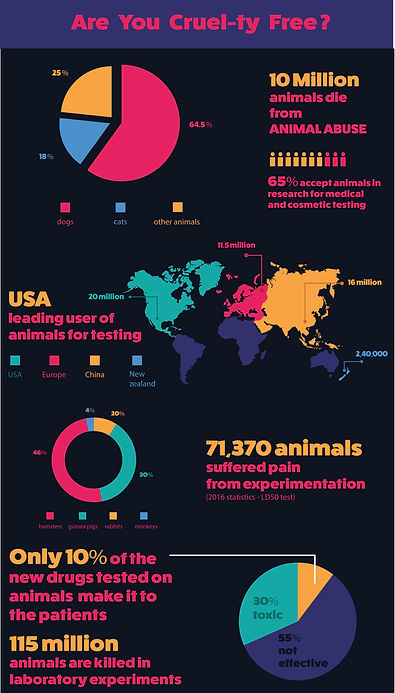 infographic, graphic design, best infographic, animal cruelty, colours, illustrator